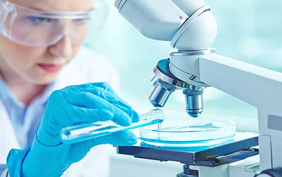 Warum brauchen wir humanen Biomaterial als Spende?